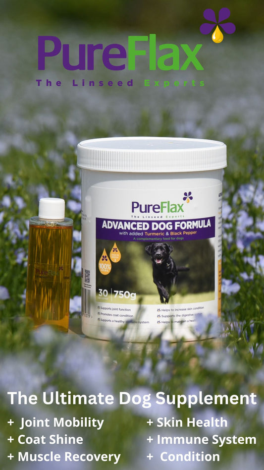 PureFlax Advanced Dog Formula